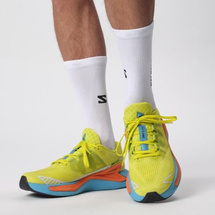 DRX BLISS - LI4587$ hover