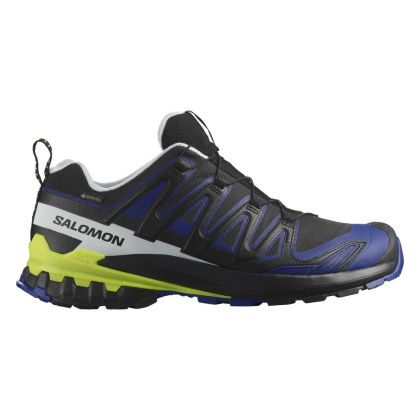 XA PRO 3D V9 GORE-TEX