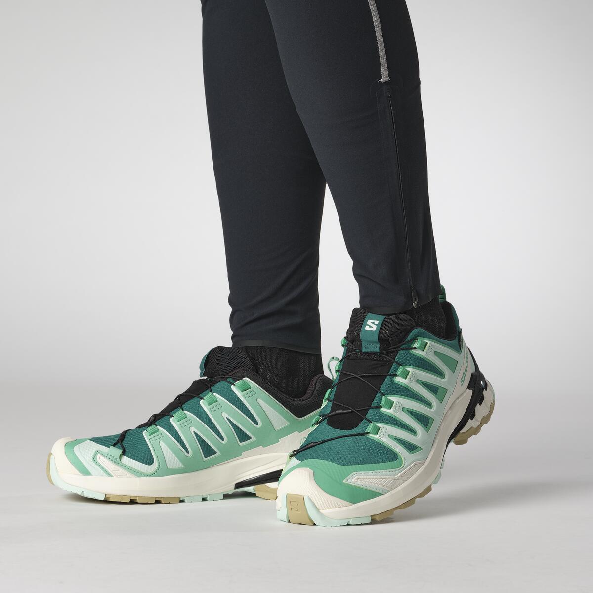 XA PRO 3D V9 GORE-TEX